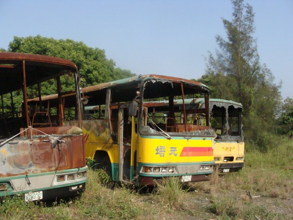 Three rusty yellow school buses with broken windows sit in a field
